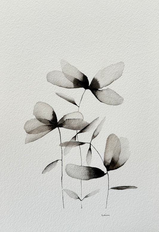 Soft grace no. 4