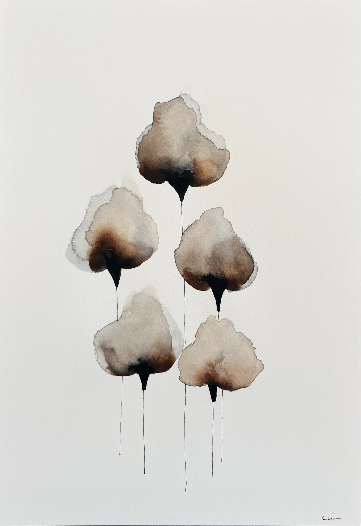 Cotton serenity no. 2