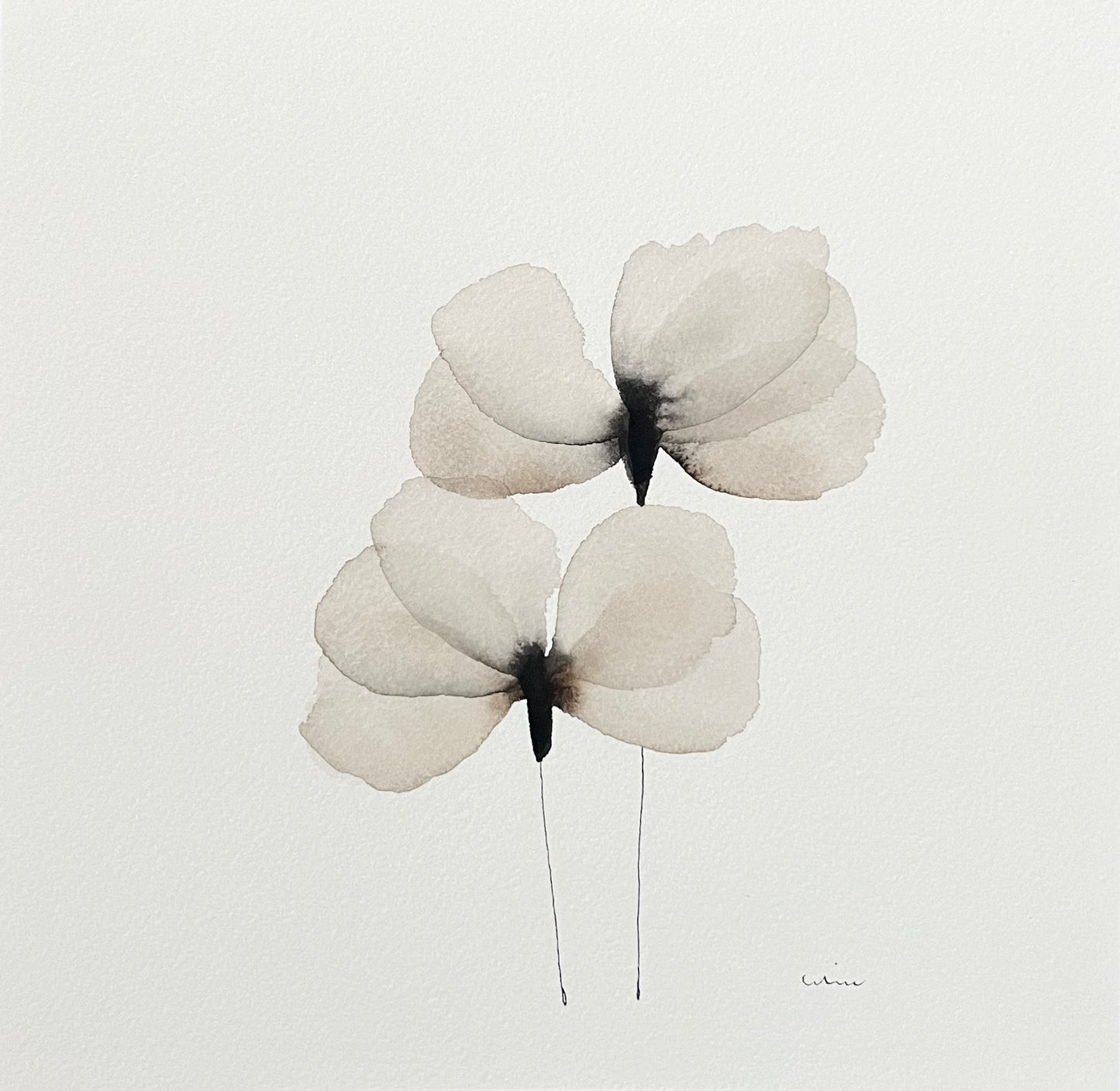 Pale velvet no 1