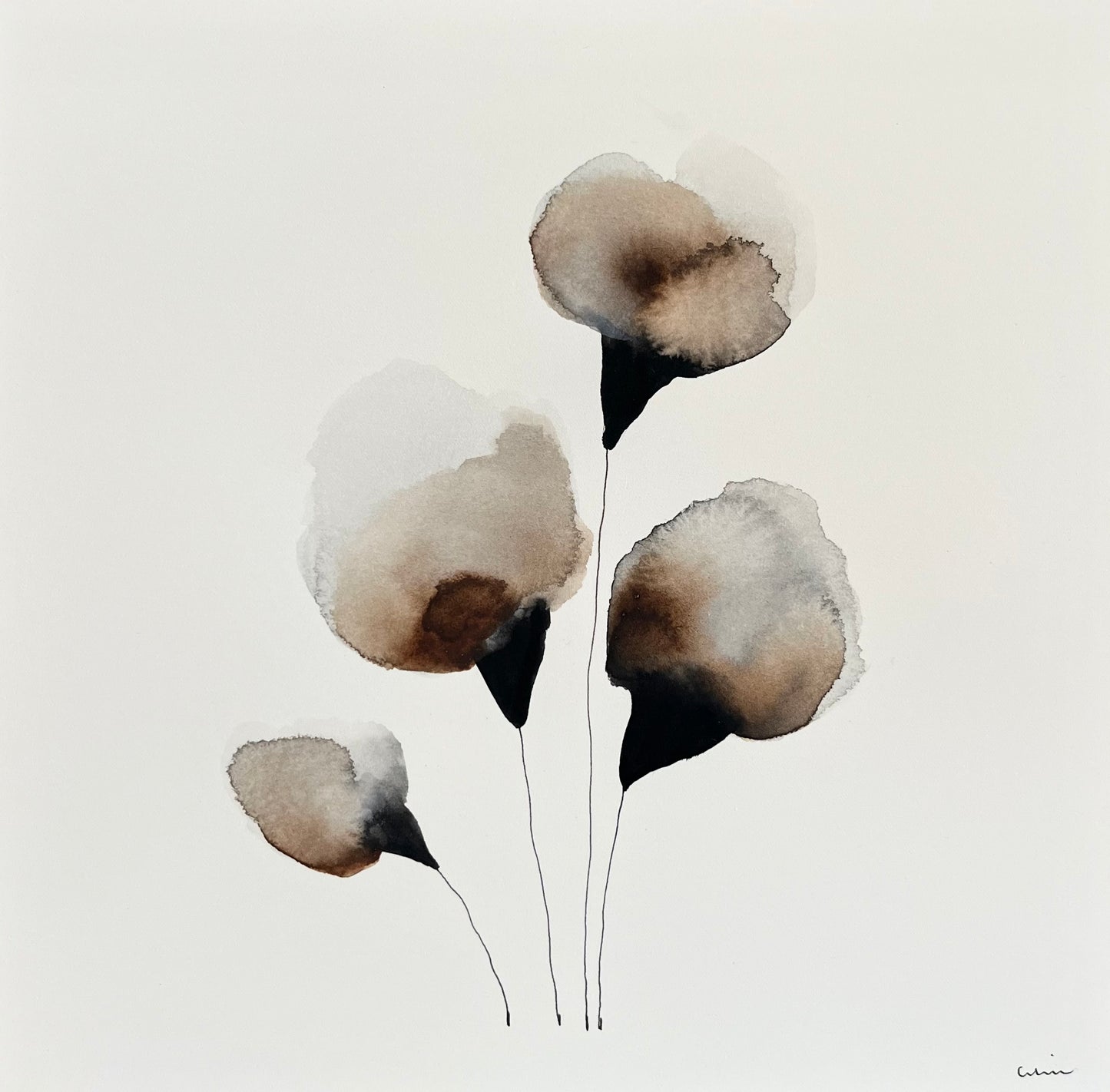 Cotton serenity no 1