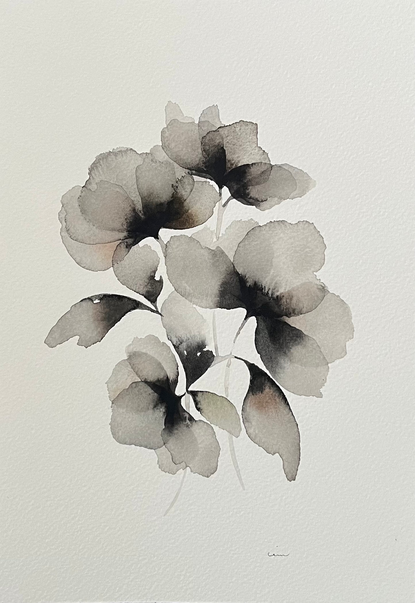 Floral haze no 2
