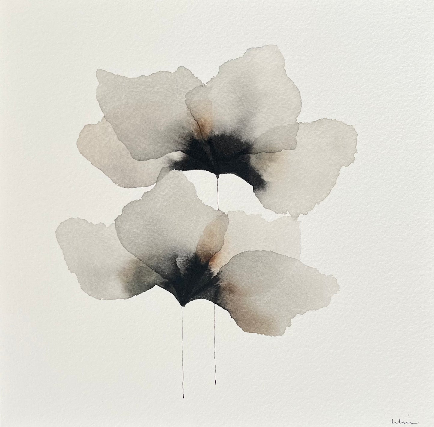 Midnight garden no 1
