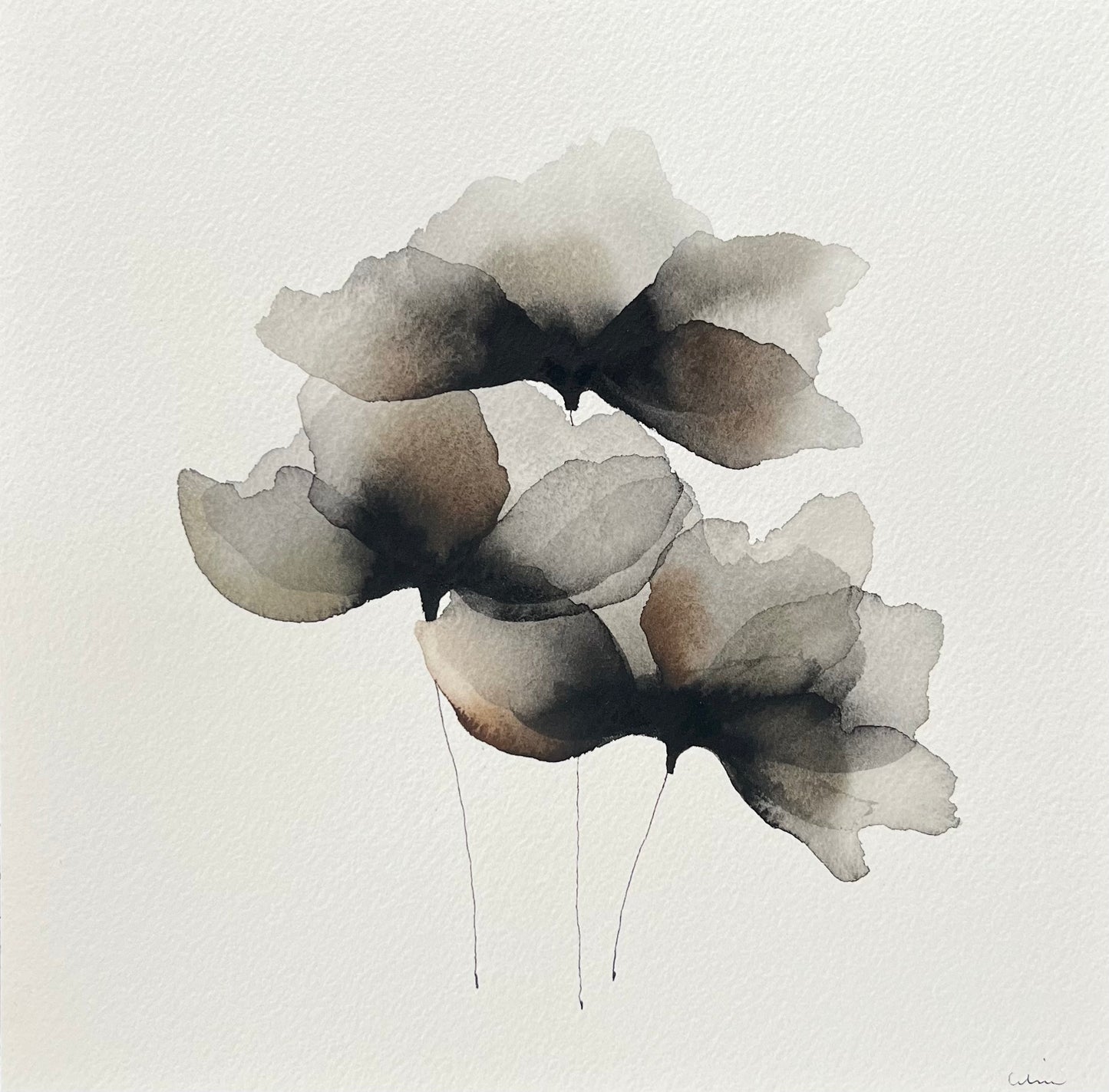 Midnight garden no 2