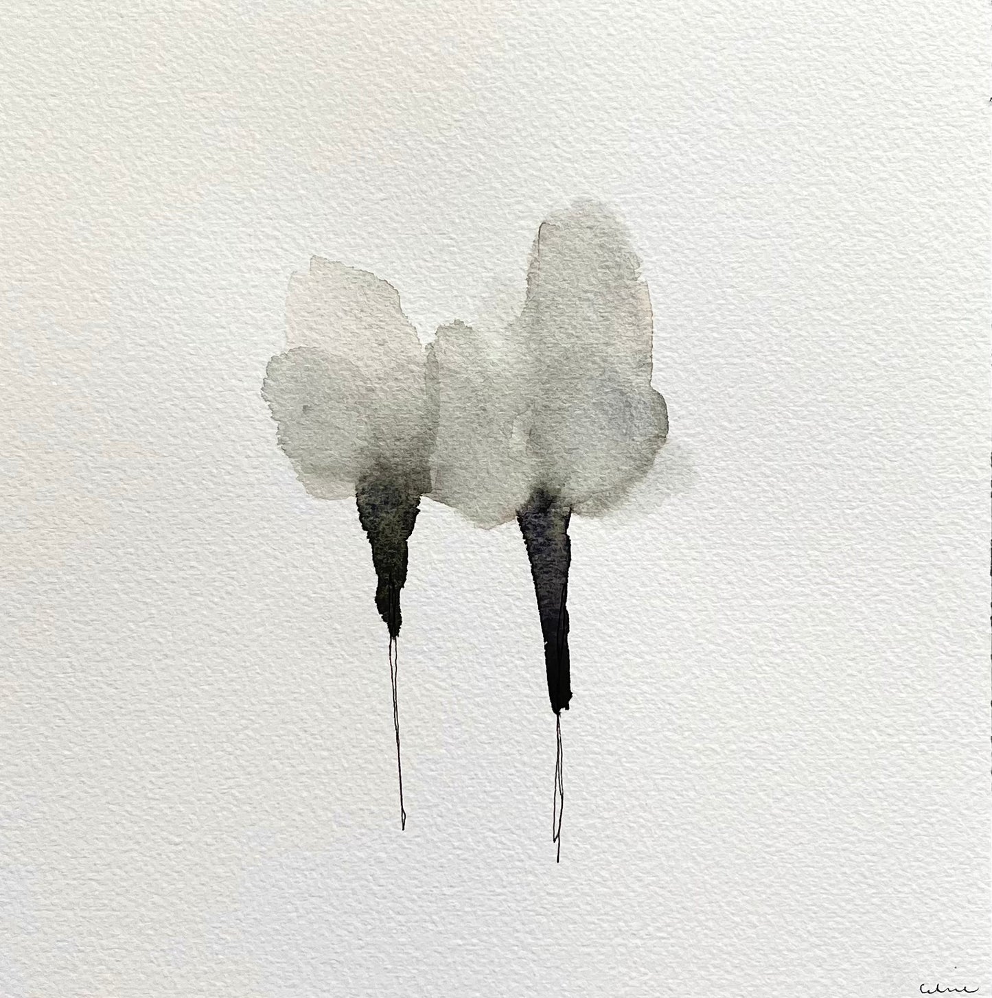 Misty morning no 3