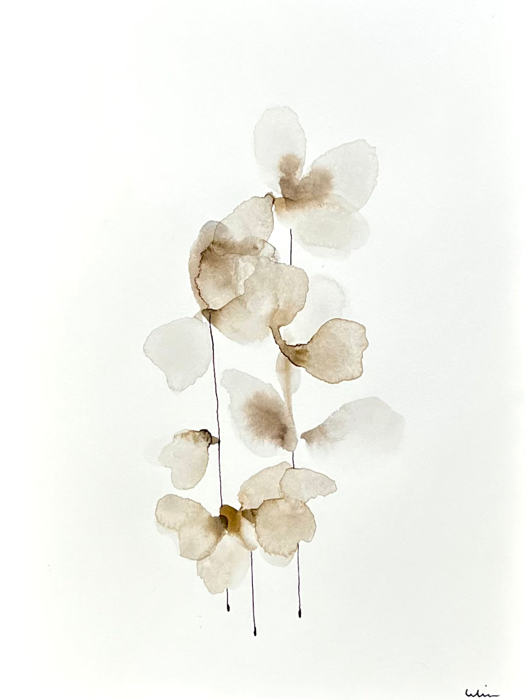 Flying petals no 2
