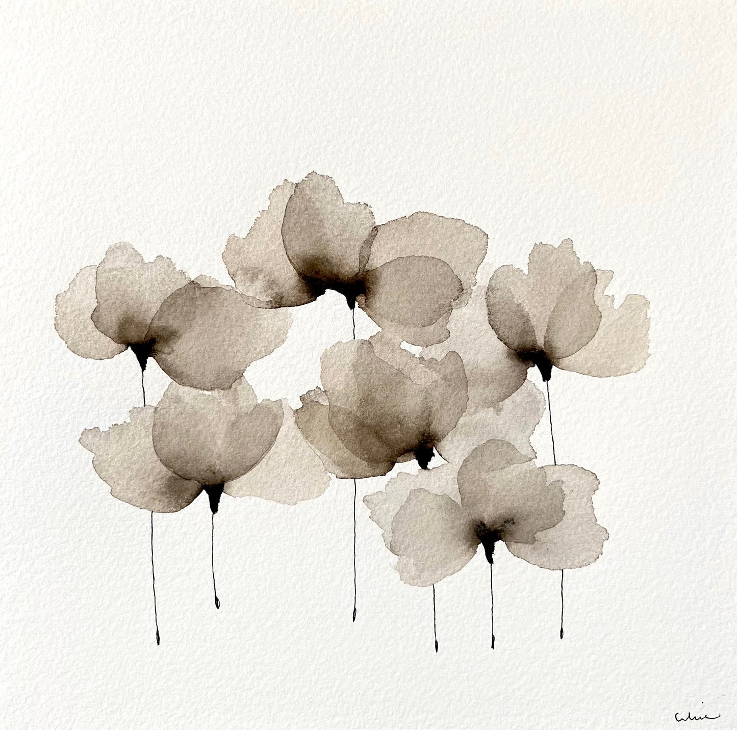 Serene silk no 12