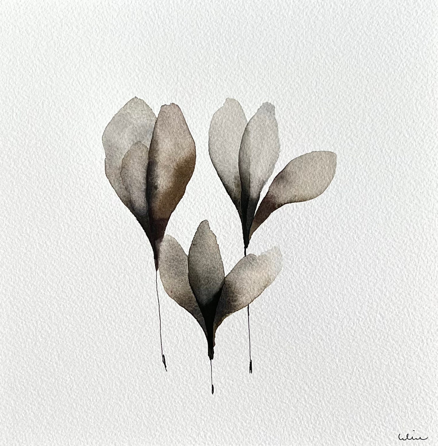 Warm whisper no 1