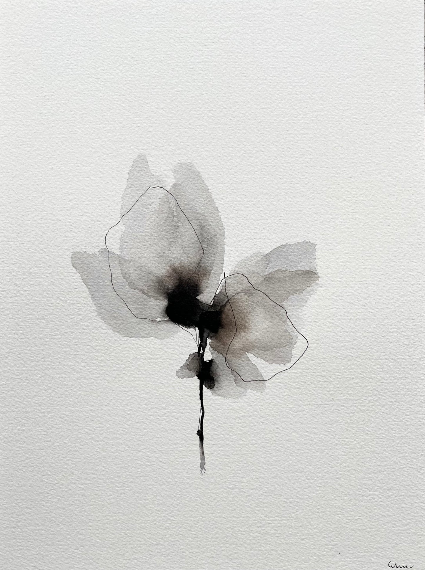 Wild beauty no 5