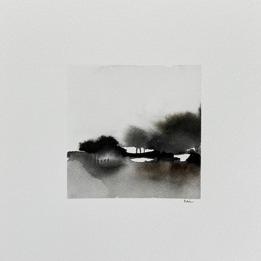 Silent storm no 2