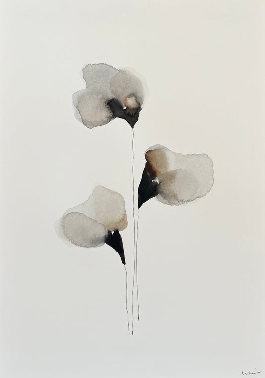 Cotton serenity no 5