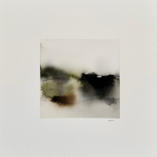 Silent storm no 3