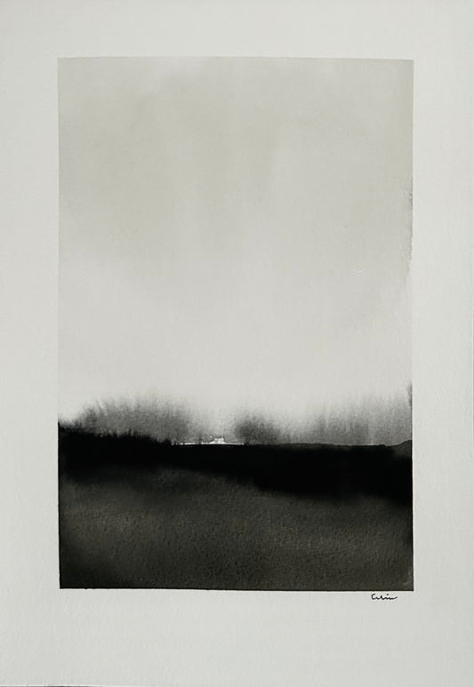 Landscapes for what remains no. 2