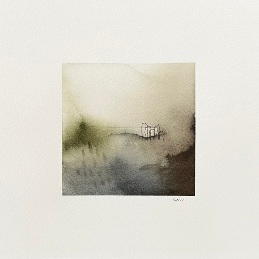 Misty dawn no 1