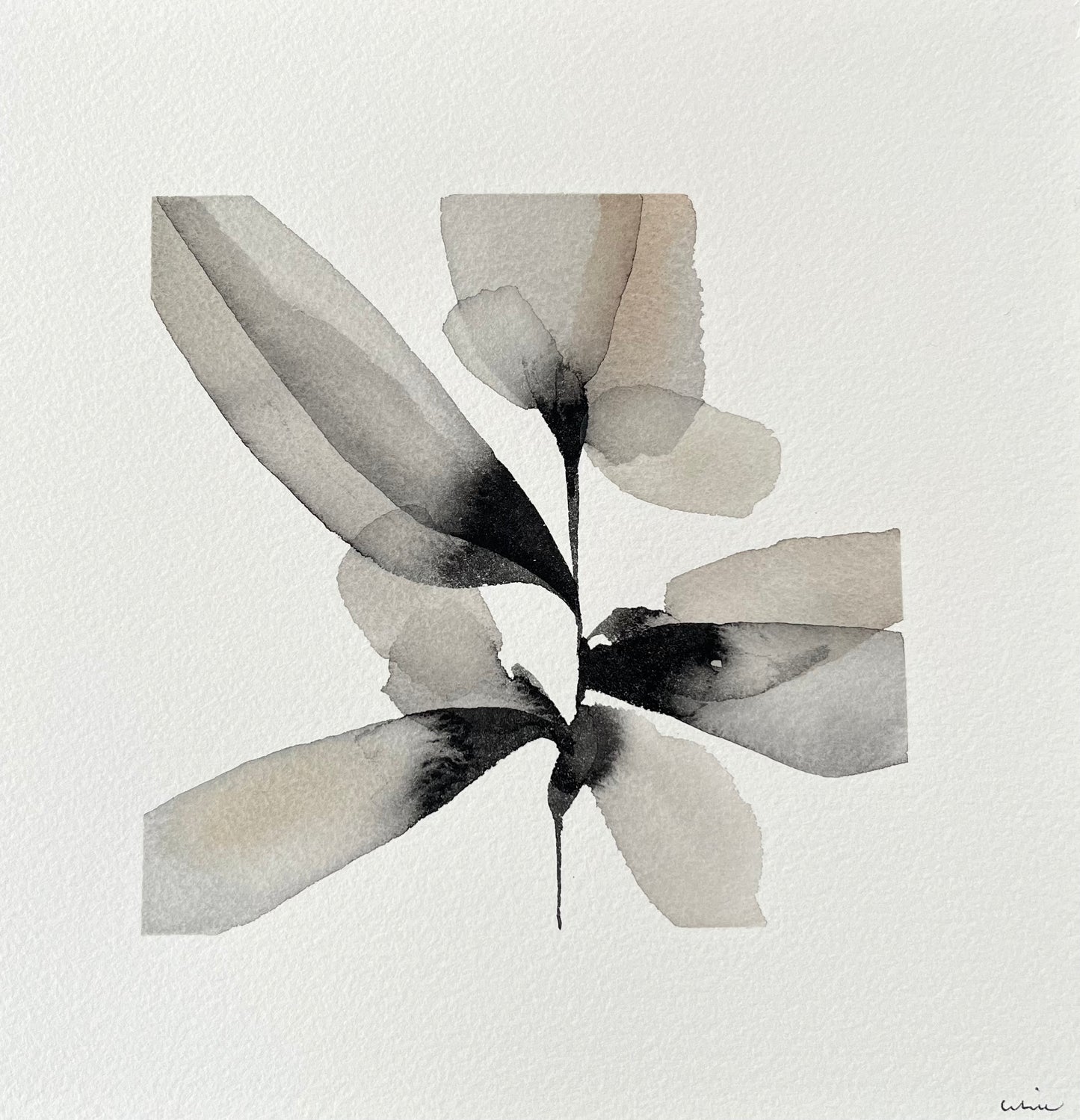 Dreaming of light no 2