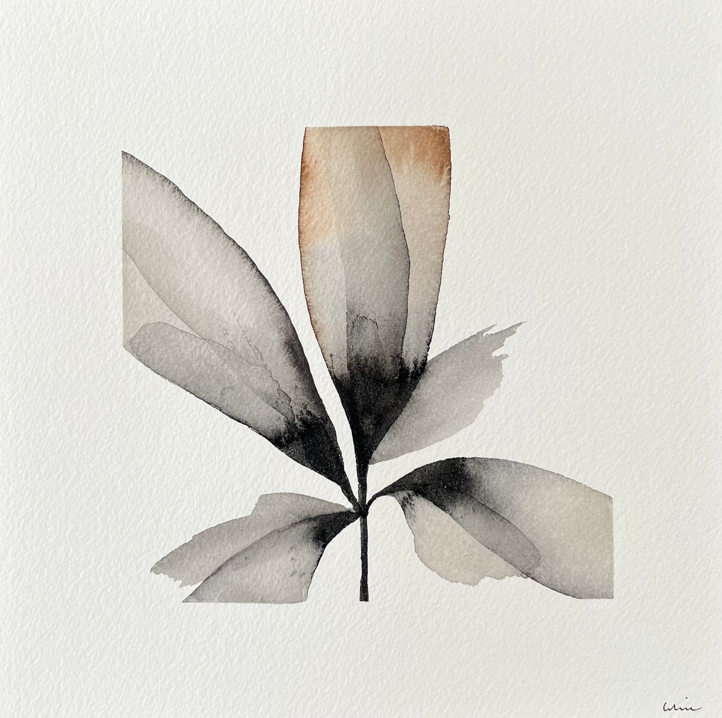 Dreaming of light no 1