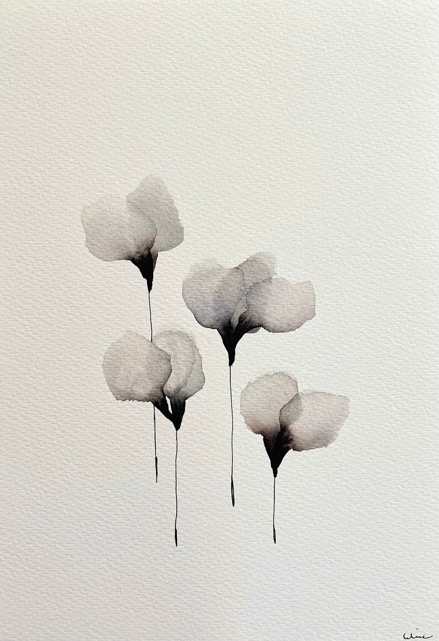 Airy petals no 1
