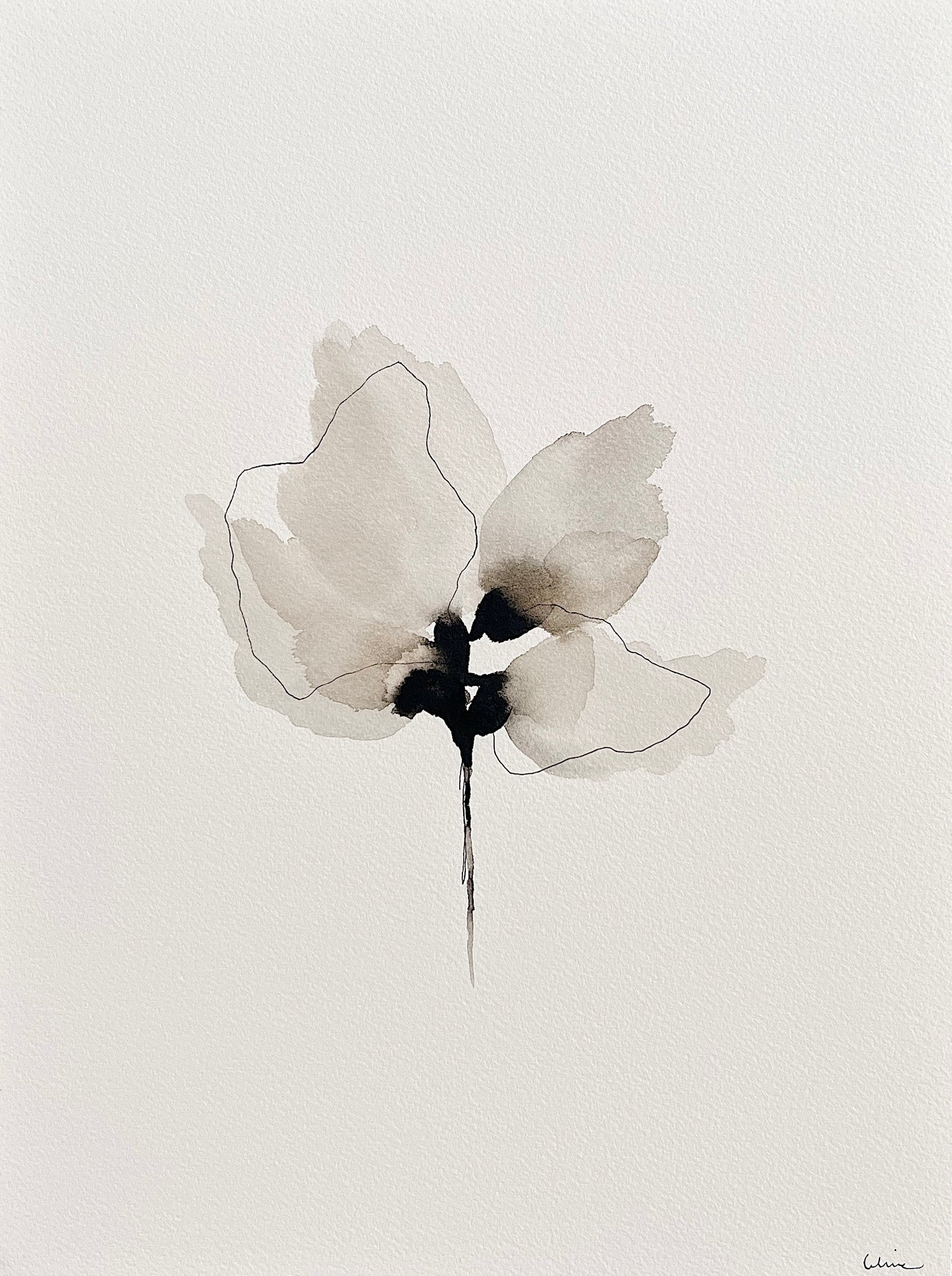 Wild beauty no 10 - framed