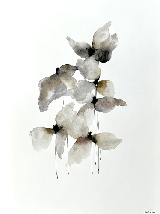 Flying petals no 1