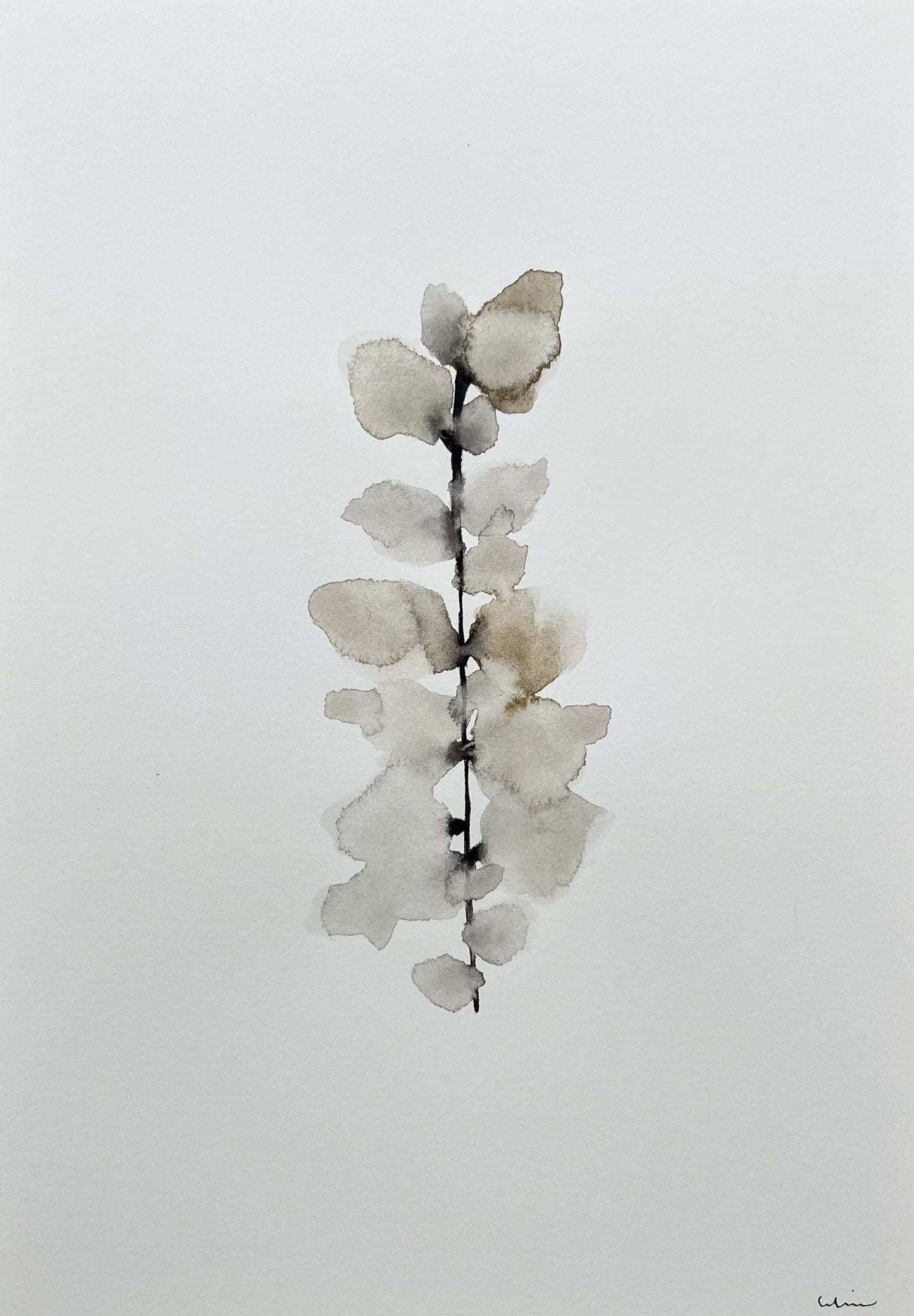 Silk sepia