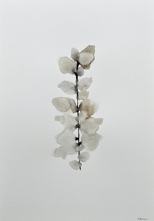 Silk sepia