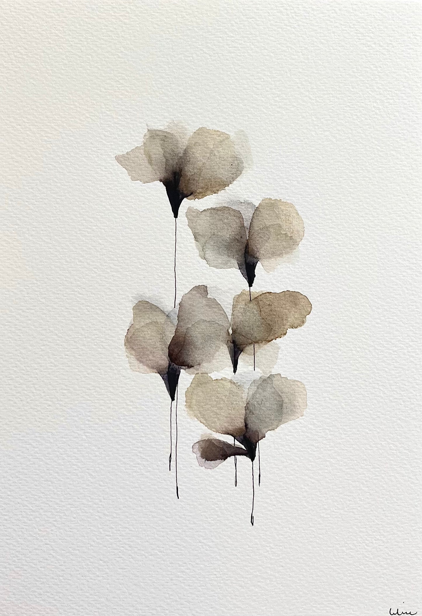 Airy petals no 2