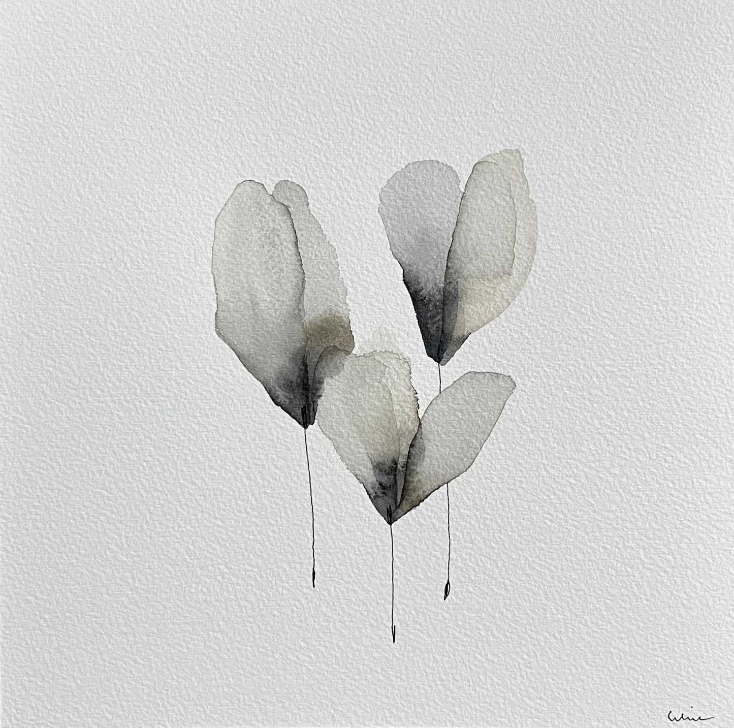 Cold whisper no 1