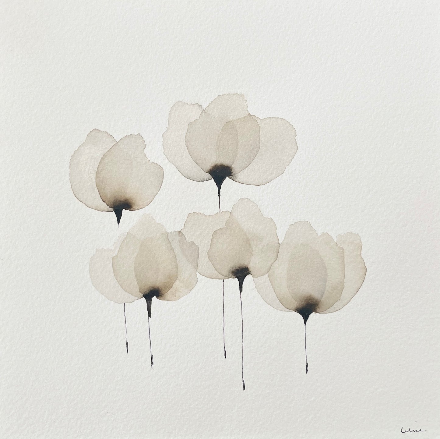 Serene silk no 11