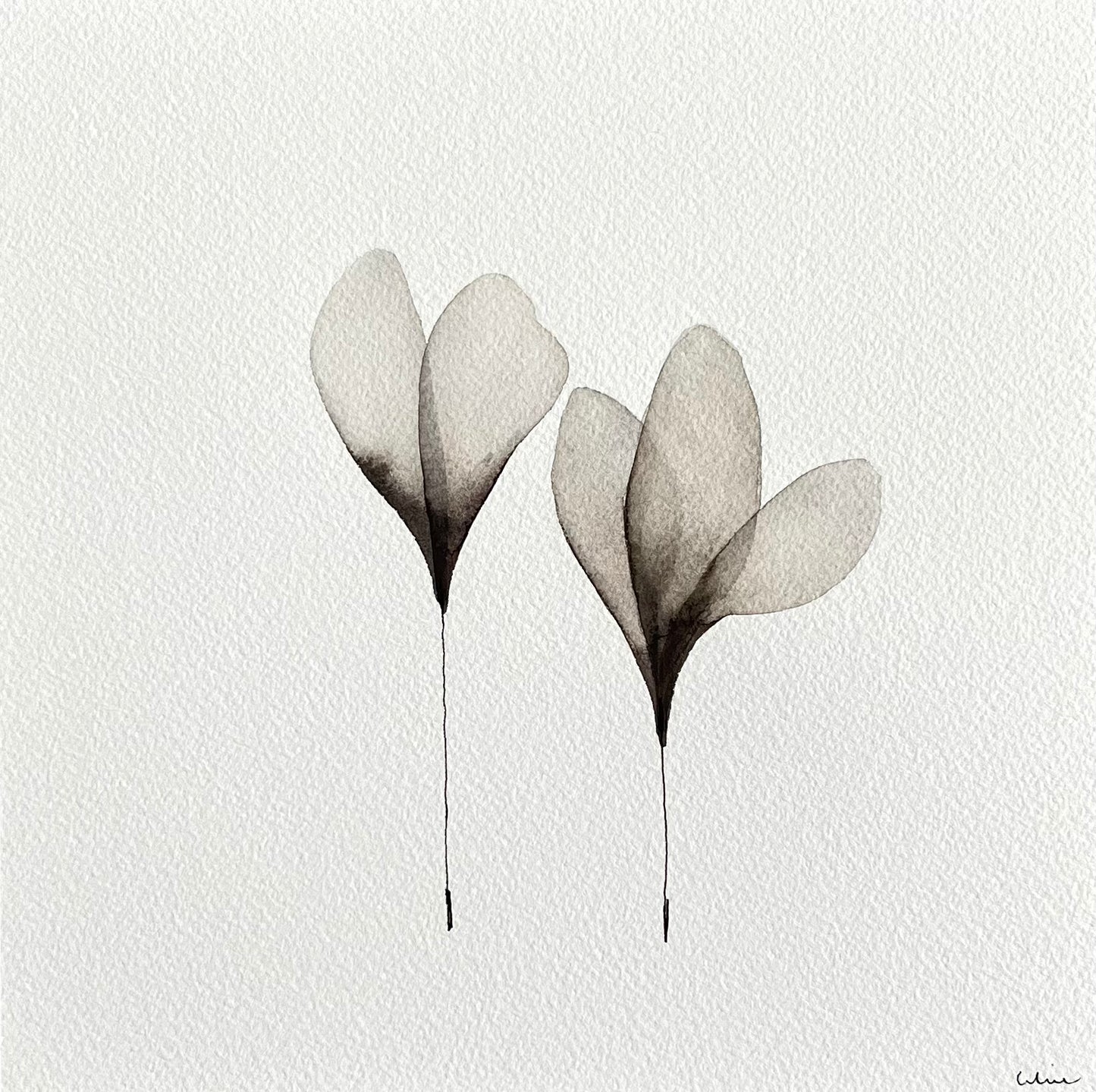 Warm whisper no 2