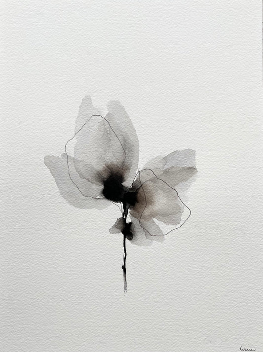 Wild beauty no 5