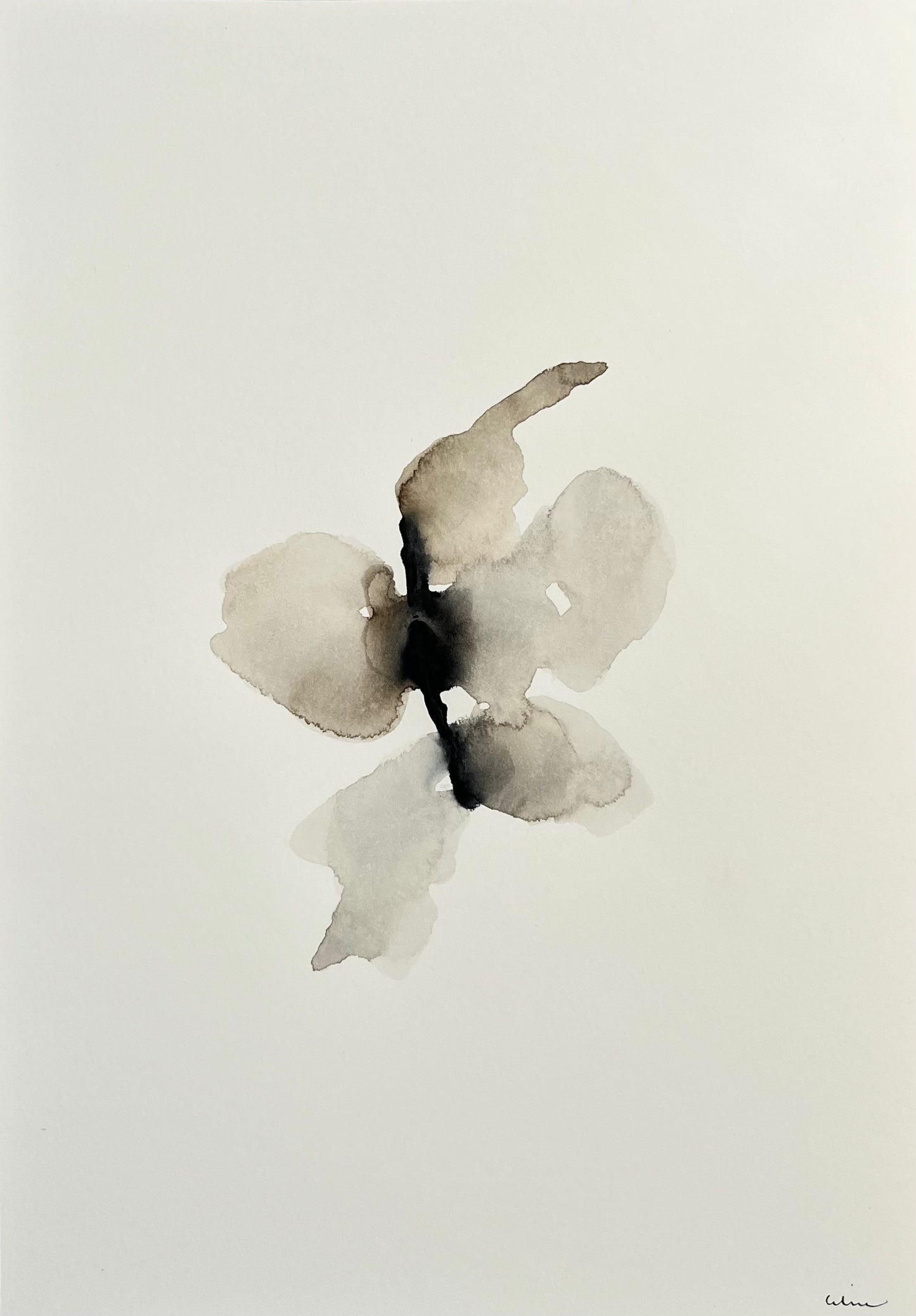 Sepia breeze no 2