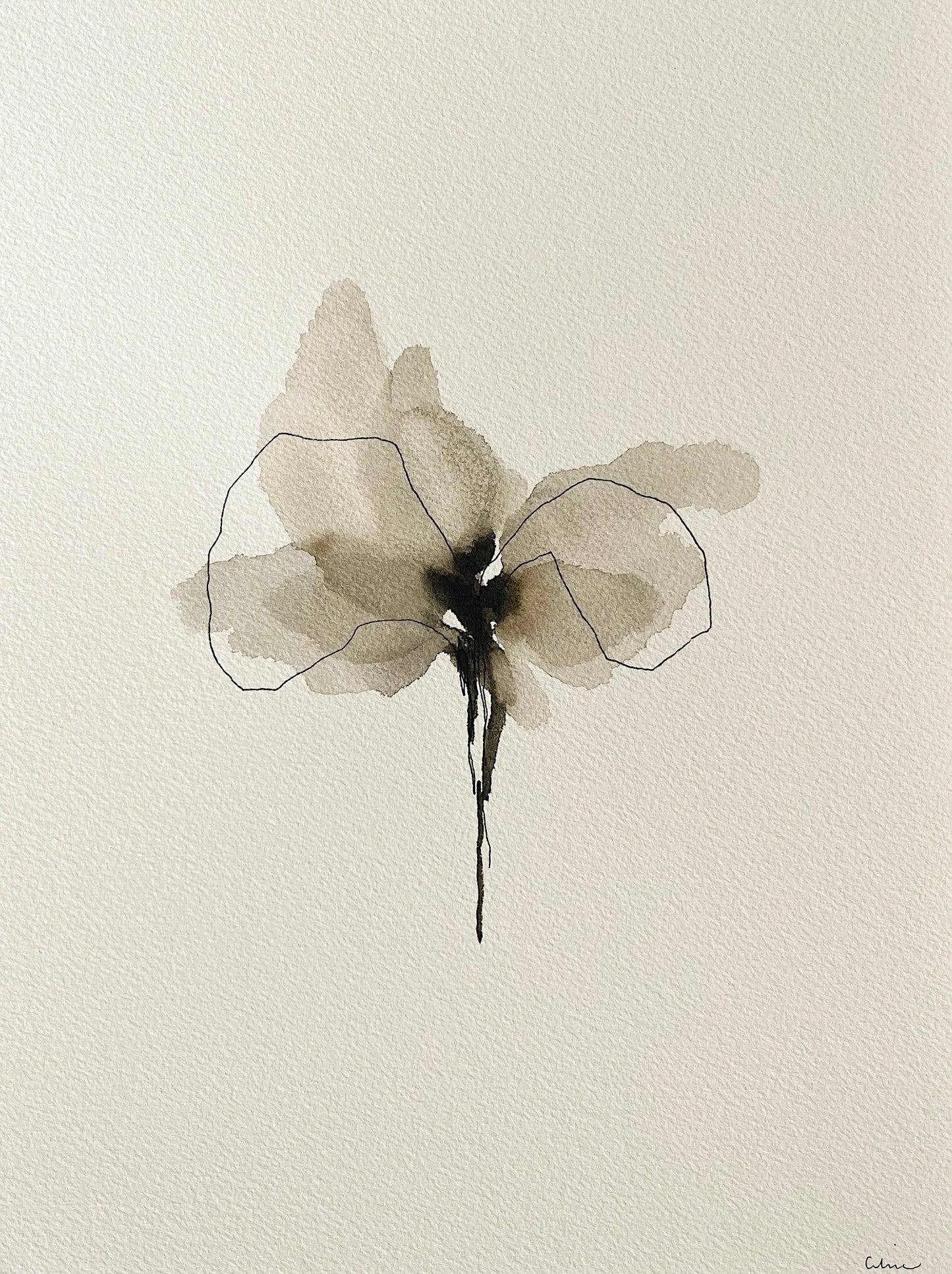 Wild beauty no 11