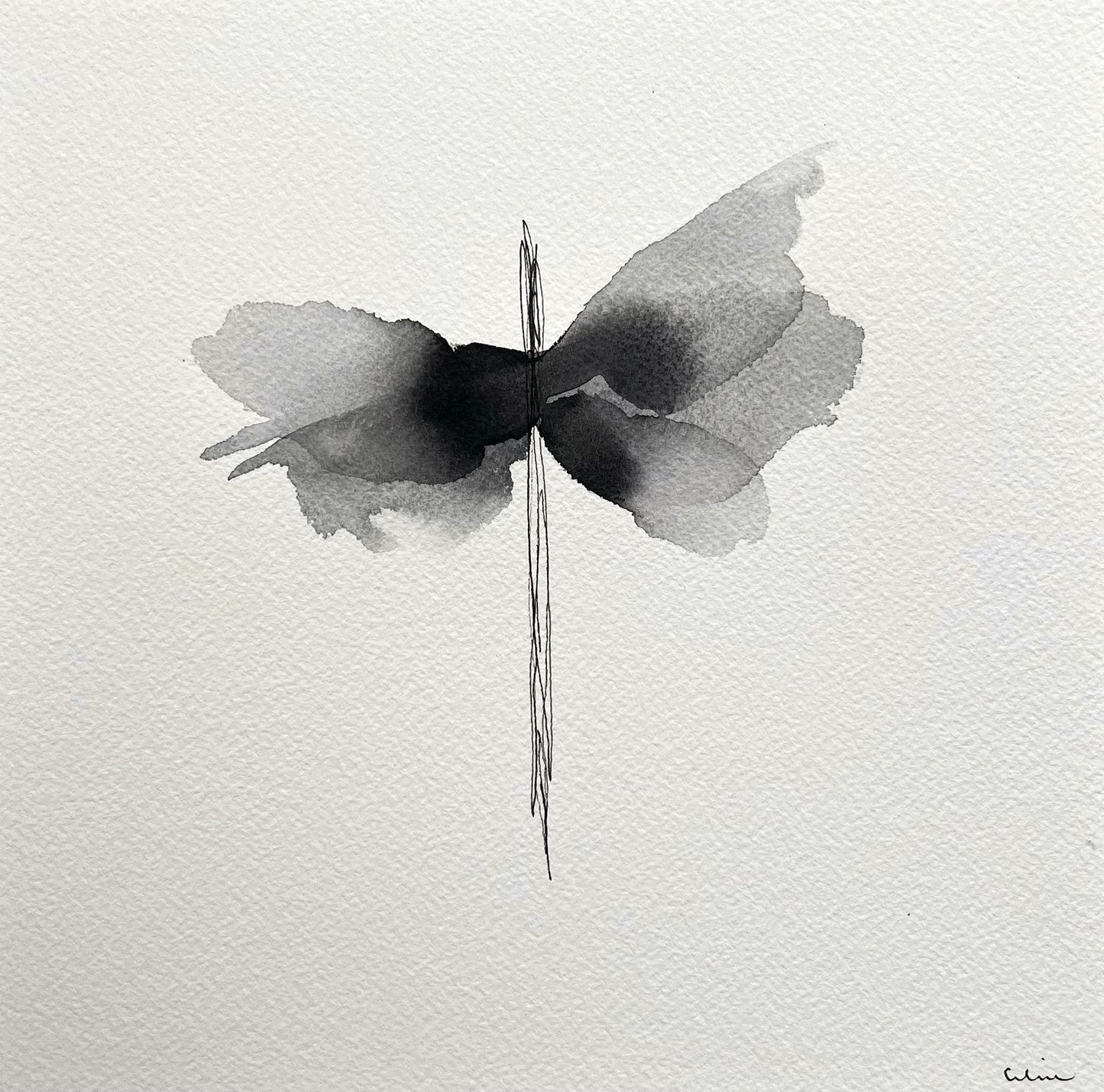 Butterfly petals