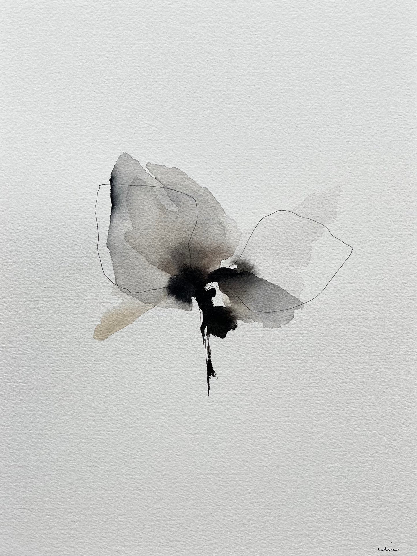 Wild beauty no 6