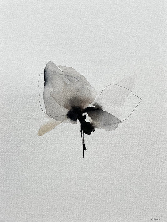 Wild beauty no 6